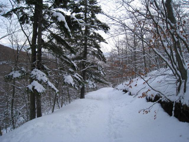 Durante el invierno del 2010 un par de temporales de levante cubrieron de nieve el parque natural del Montseny. Nosotros lo aprovechamos para acercarnos con nuestras tablas.