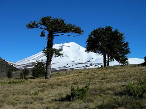 Snowboard de montaña en el volcan chileno de Lonquimay, relatado en primera persona por Xabi